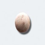 Natural Fossil Agate