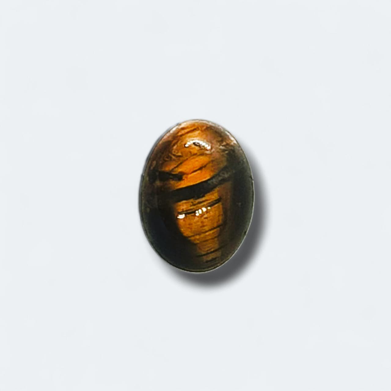 TE-020 Tiger Eye