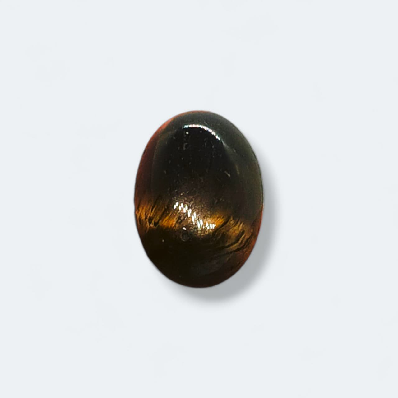 TE-022 Tiger Eye