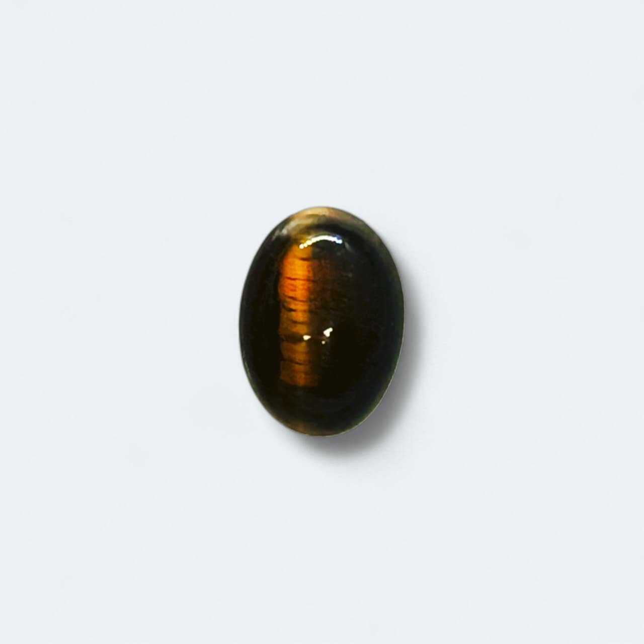 TE-026 Tiger Eye