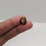 Tiger Eye